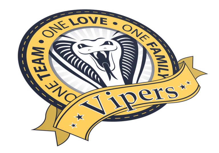 corporate-design-logo-vipers